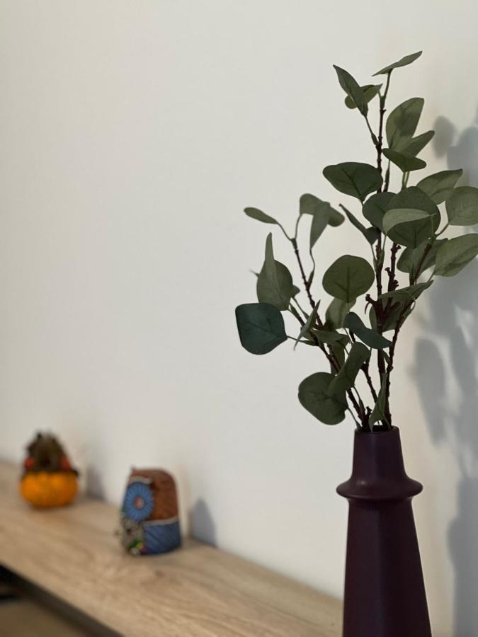 Marie 2 Confort Climatise 1 Proche Apartment Le Grau-du-Roi
